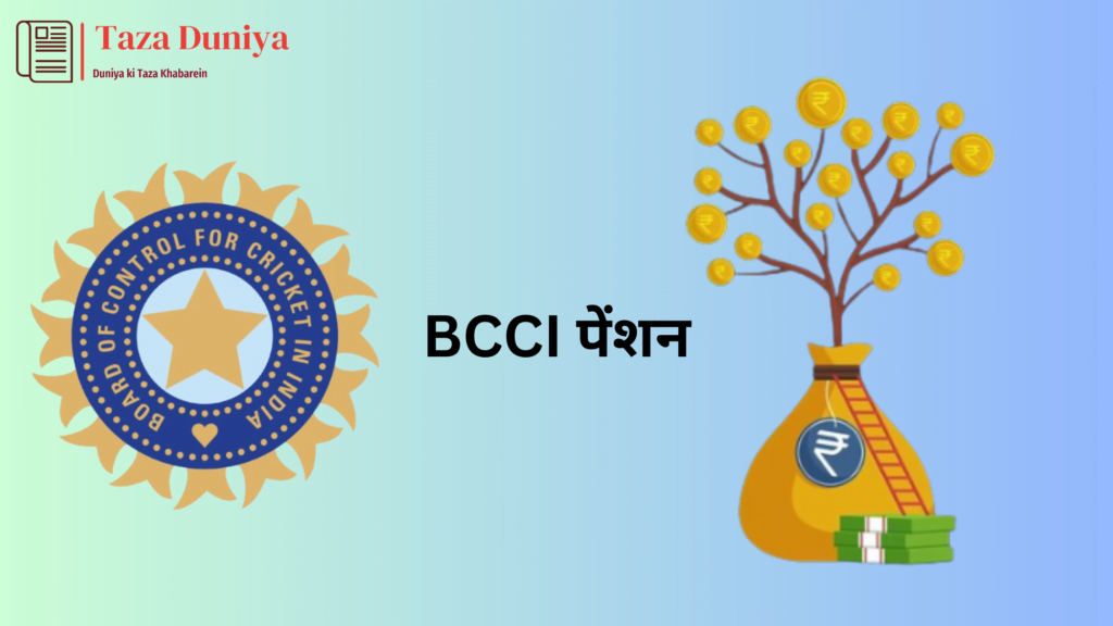 क्रिकेटर्स 