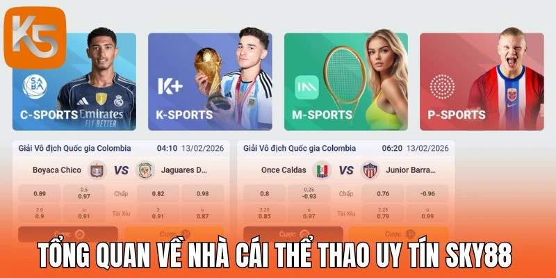 Tổng quan về nhà cái thể thao uy tín Sky88